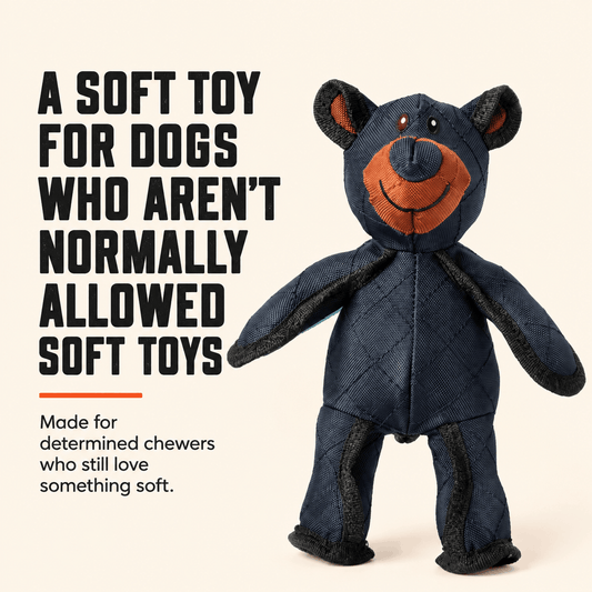 Tough Teddy