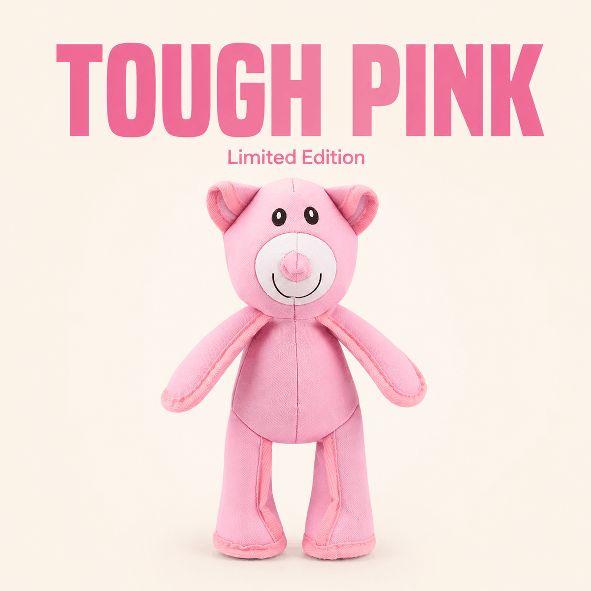Tough Teddy