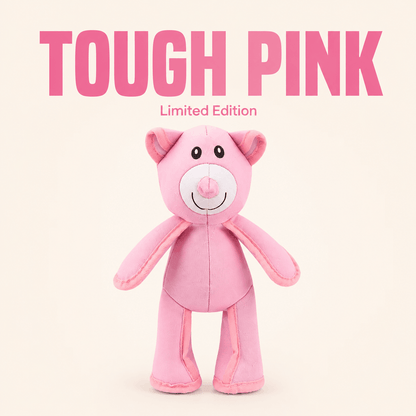 Tough Teddy